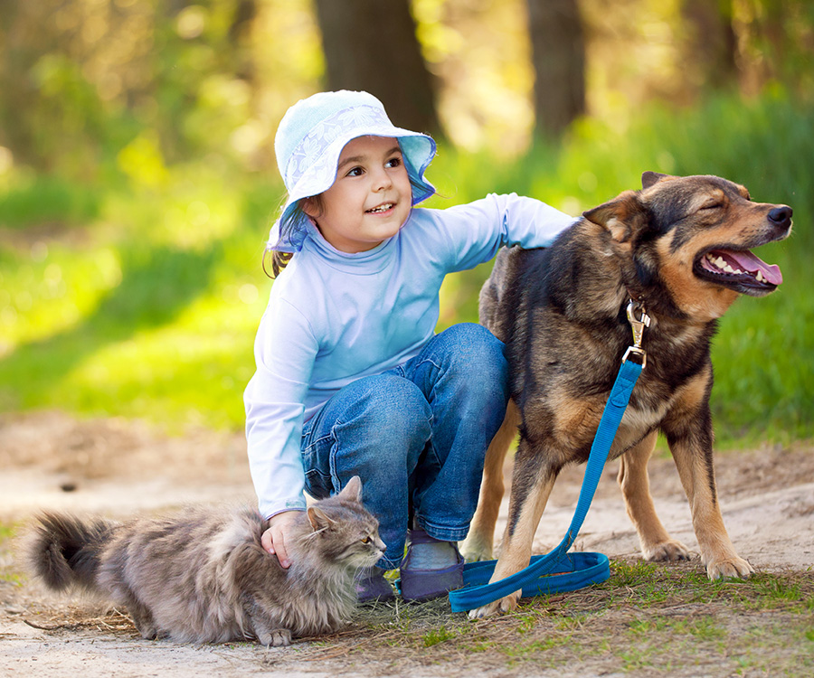 Happy little girl hugging dog and cat outdoors in forest in summer - Pets help you stay healthy in a variety of ways.
