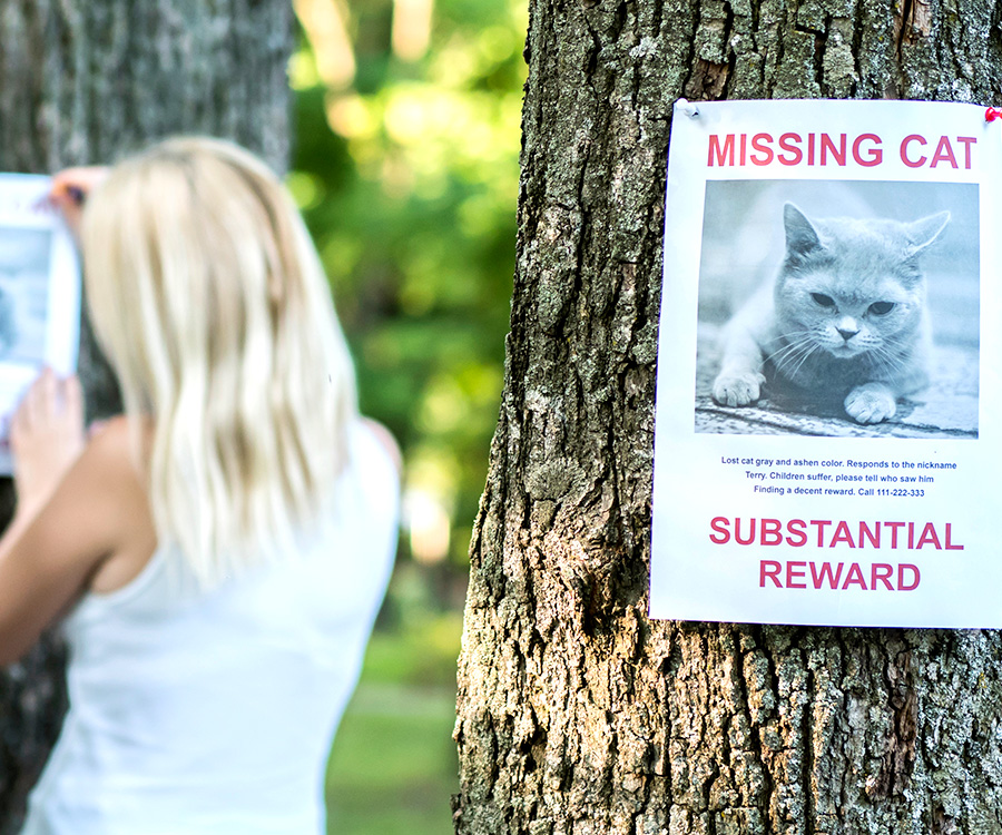 Woman putting up missing cat sign to help find her lost pet.