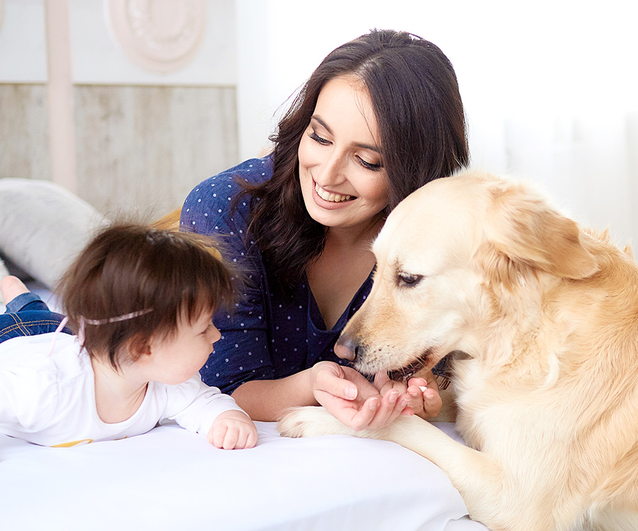 Mother with daughter lie on the bed and dog looking at them