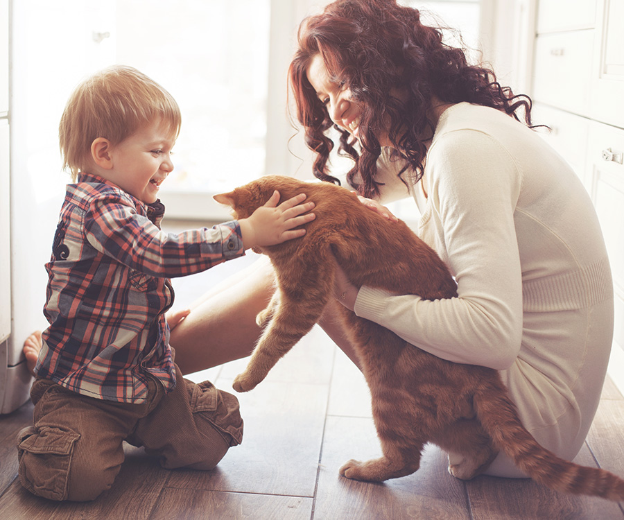 An example of pets and kids interacting safely, with mother a toddler playing with cat on the floor in the kitchen at home.