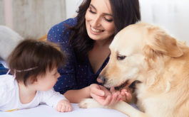 Mother with daughter lie on the bed and dog looking at them