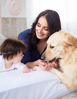 Mother with daughter lie on the bed and dog looking at them