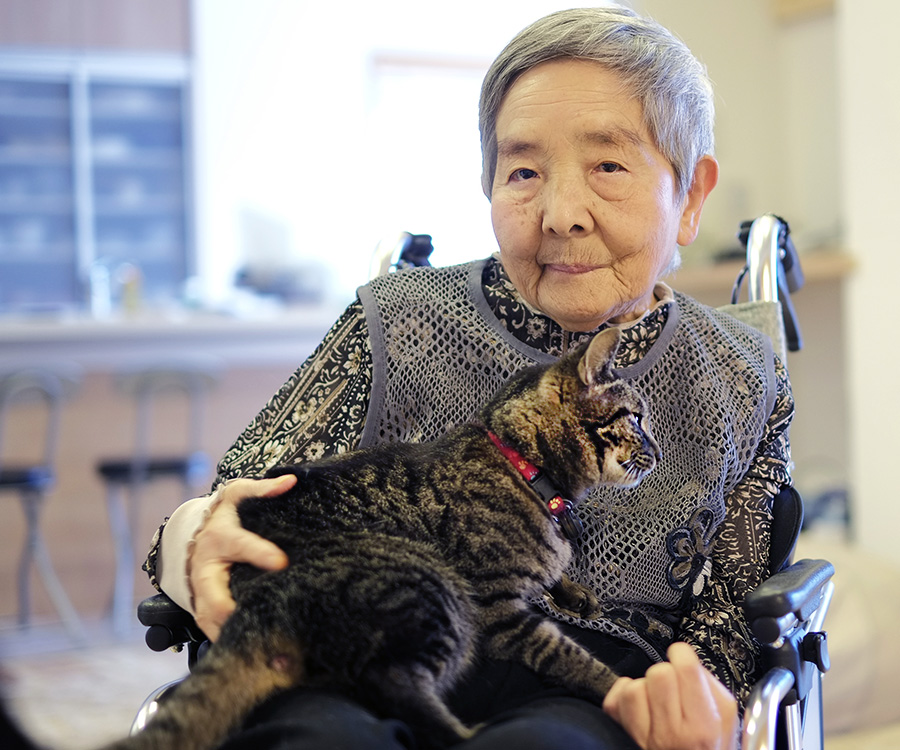 Senior woman in a wheelchair and cat in the room