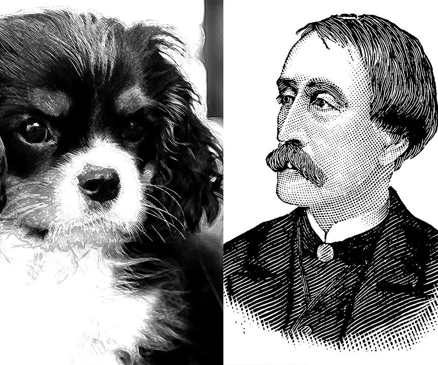 Shelter dog adoption - Cavalier king charles spaniel and Henry Bergh, founder of the American society for the prevention of cruelty to animals (ASPCA) in 1866.