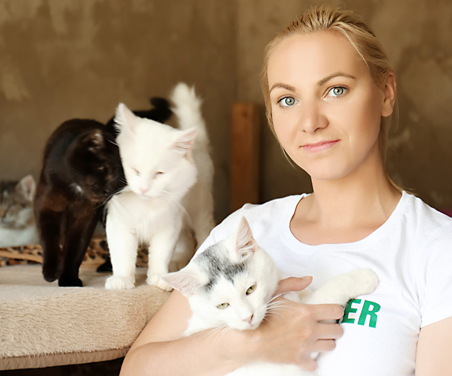Female volunteer with homeless cats in animal shelter