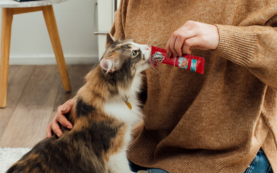 Cat licking from a Delectables SqueezeUp tube. Delectables Squeeze Up is one of 5 squeezable wet cat treats.