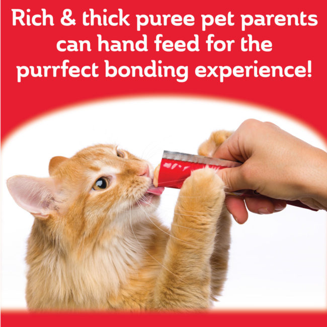 Delectable SqueezeUp cat treats provide the purrfect bonding experience.