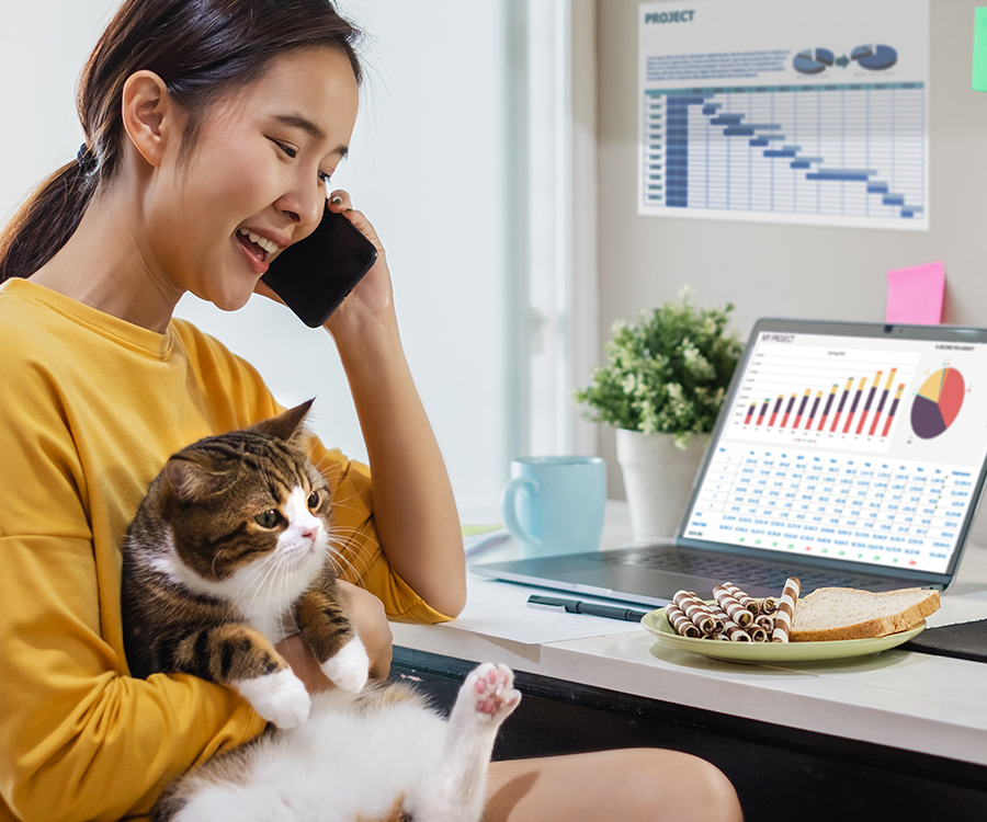 Cat schedule - Young Asian woman working from home playing with her cute cat.