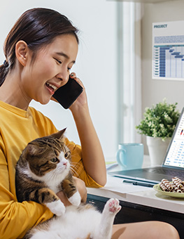 Young Asian woman working from home due to coronavirus covid-19, daily routine, schedule, lifestyle working and playing with her cute cat.