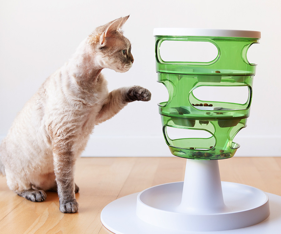 An interactive cat toy slow feeder can be used to help your cat lose weight.