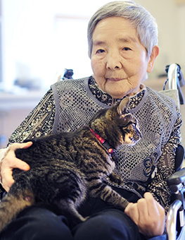 Senior woman in a wheelchair and cat in the room