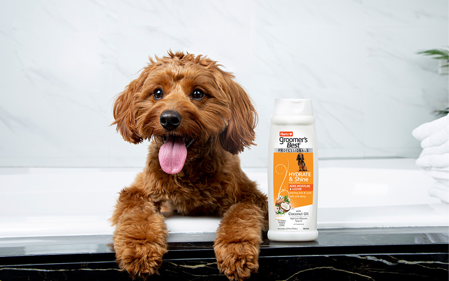 Hartz Groomer's Best Professionals Shampoo.