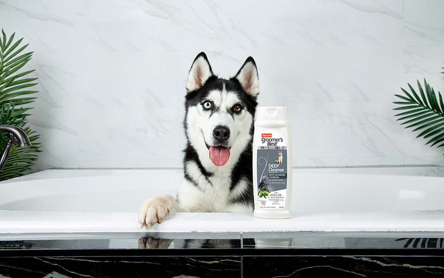 Hartz Groomer's Best Professionals Shampoo.