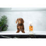Hartz® Groomer’s Best® Professionals Hydrate & Shine Dog Shampoo