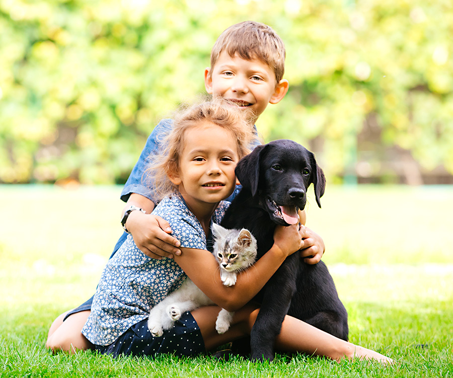 Children and pets kitten and dog