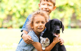 Children and pets kitten and dog