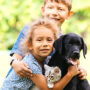 Children and pets kitten and dog