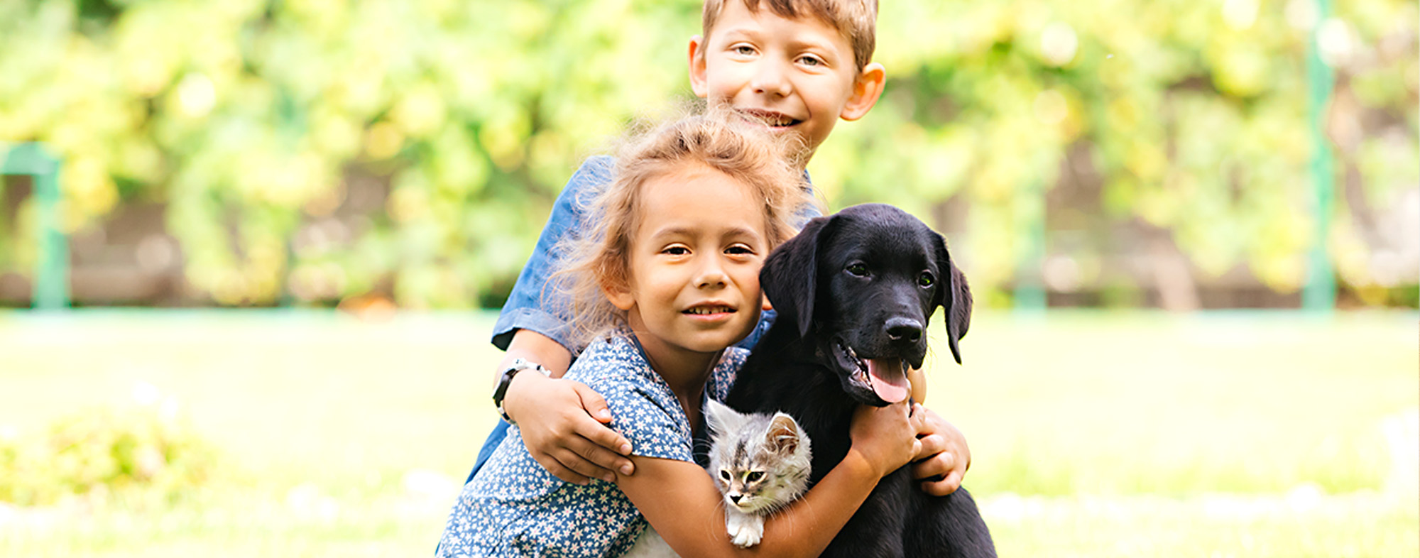 Choosing Your Child’s First Pet Hartz