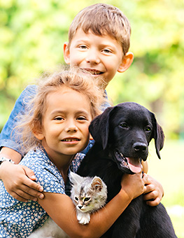 Children and pets kitten and dog