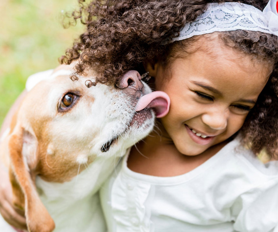 Dog licking little girl's face. It's important to get your kids ready for a new dog.