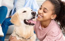 Cheerful African American girl embracing her labrador after finding perfect dog for her family from shelter.