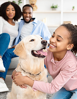 Cheerful African American girl embracing her labrador after finding perfect dog for her family from shelter.