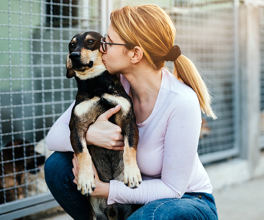 Young adult woman holding adorable dog in animal shelter