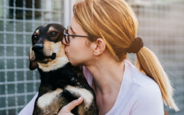 Young adult woman holding adorable dog in animal shelter