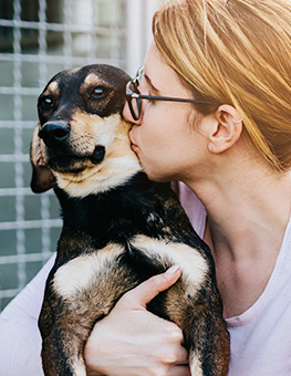 Young adult woman holding adorable dog in animal shelter