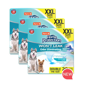 Hartz All in One Collar & Lead Combo