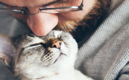 Bearded man is holding and kissing little purring Devon Rex cat.