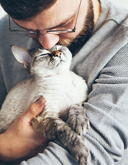 Bearded man is holding and kissing little purring Devon Rex cat.