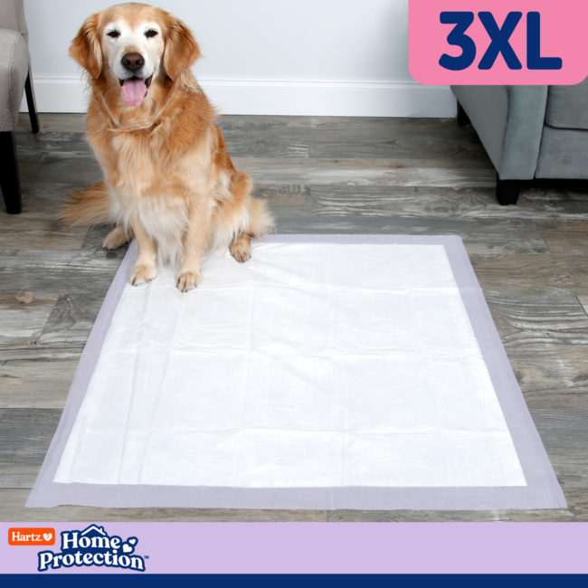 3XL lavender scented dog pad.