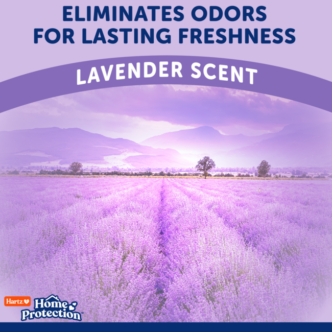 Odor eliminating dog pads with a lavender scent.