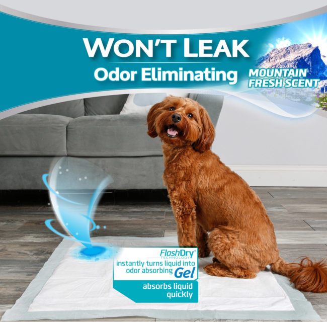 Hartz leak proof dog pads. These scented puppy pads have a mountain fresh scent.