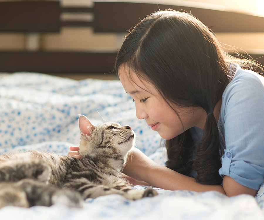 Asian girl lying with tabby cat.
