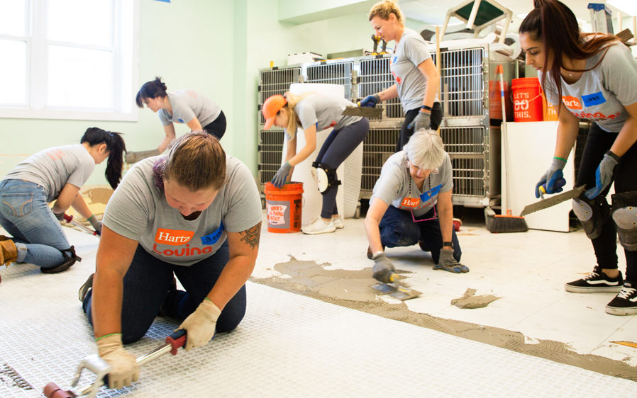 Hartz workers volunteering at Liberty Humane Society animal shelter in Jersey City, New Jersey.