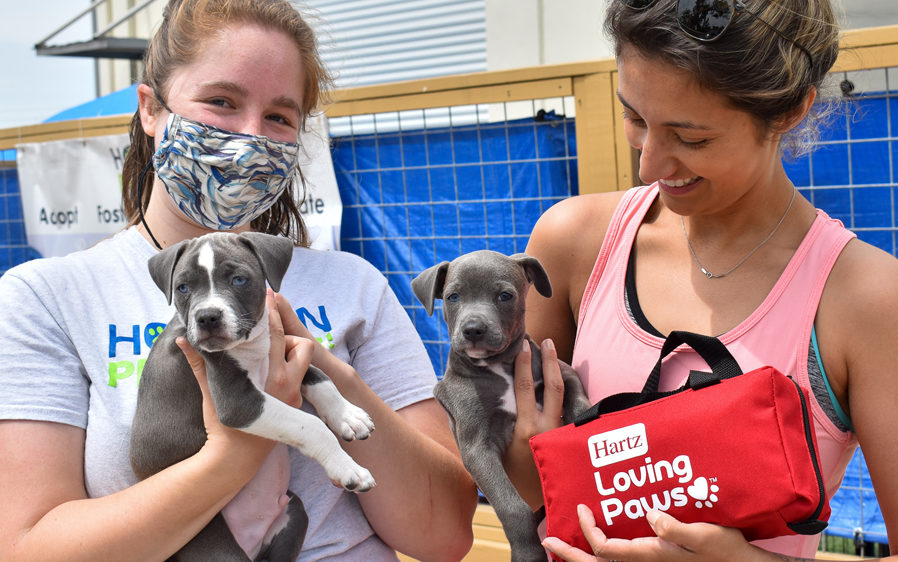 Hartz partners with Houston Pets Alive!