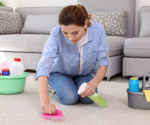Cat spraying - Woman cleaning carpet with brush at home