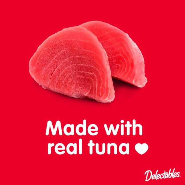 Delectables Made with Real Tuna