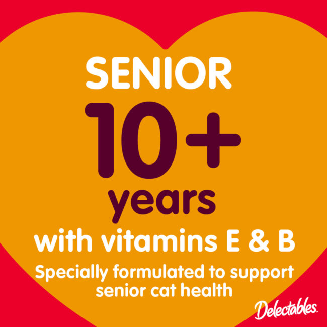Delectables Senior 10+ Years with Vitamins E&B. Specially formulated to support senior cat health.