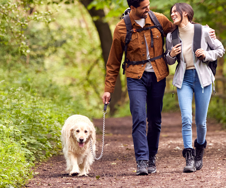 Dogs and lyme disease - Couple With Golden Retriever Hiking in Countryside