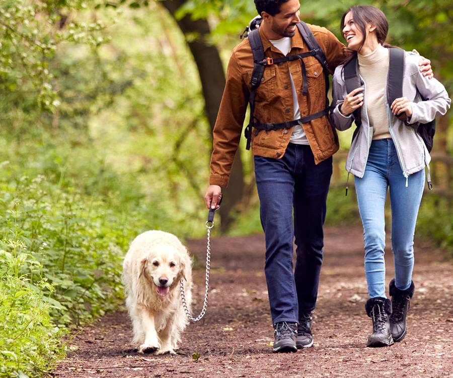 how do you know if your dog has lyme disease