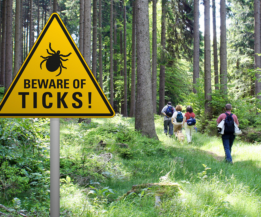 Dogs and lyme disease - Warning sign beware of ticks in the green forest with walkers and dog