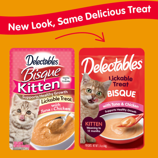 Delectables clearance kitten bisque