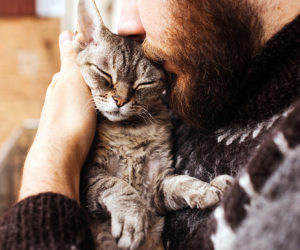 How long after flea treatment can I pet my cat - Bearded man holding and kissing Devon Rex cat