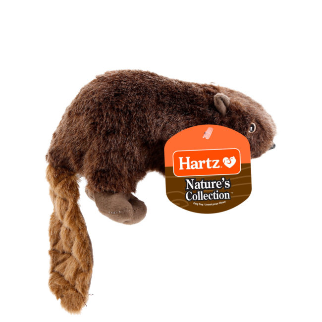 Squeaky dog toy in the shape of a plush beaver, Hartz SKU# 3270004349