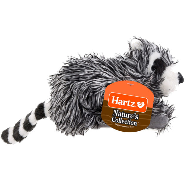 Squeaky dog toy in the shape of a plush raccoon, Hartz SKU# 3270004349
