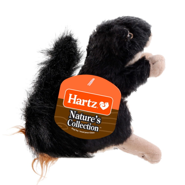 Squeaky dog toy in the shape of a plush squirrel, Hartz SKU# 3270004349
