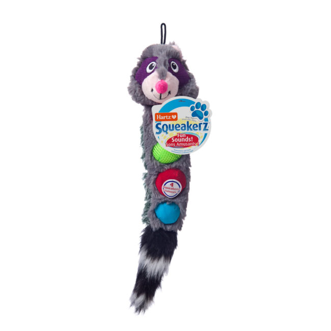 Hartz squeakerz plush raccoon squeaky dog toy. Hartz SKU# 3270015570